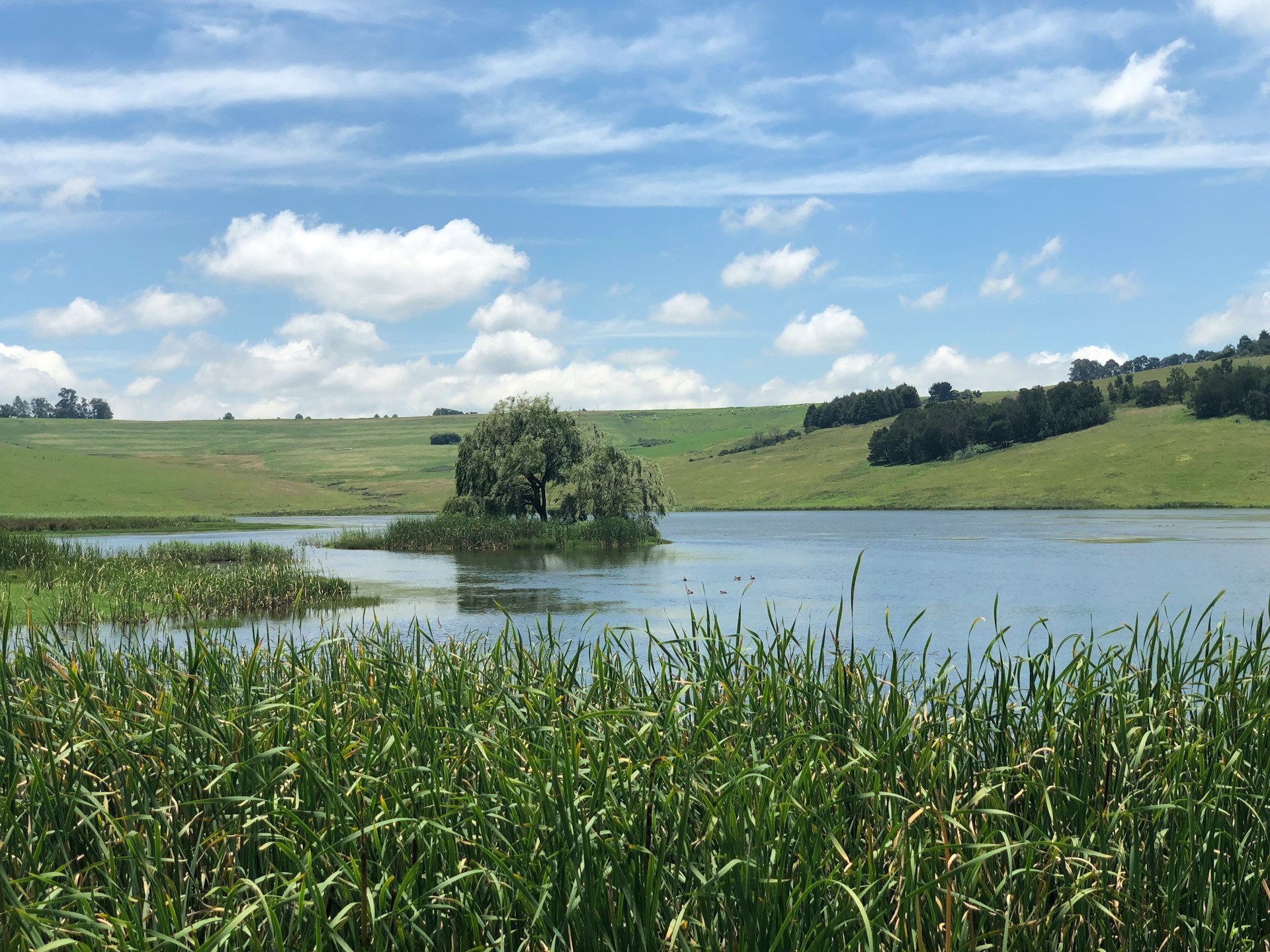 Water Law